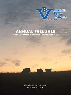 Sale Book thumbnail